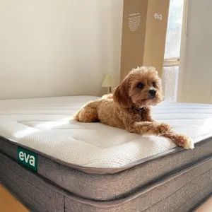 Eva Mattress