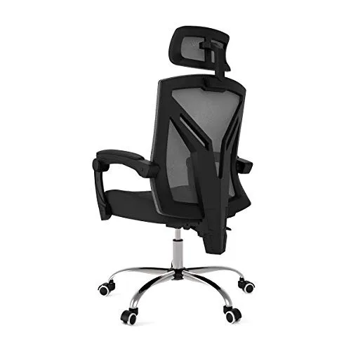 Hbada Ergonomic Office Chair