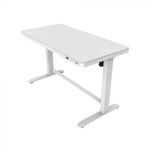 FLEXISPOT Adjustable Electric Standing Desk