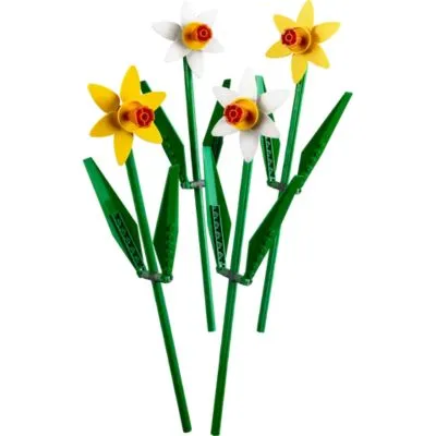 30% off Daffodils