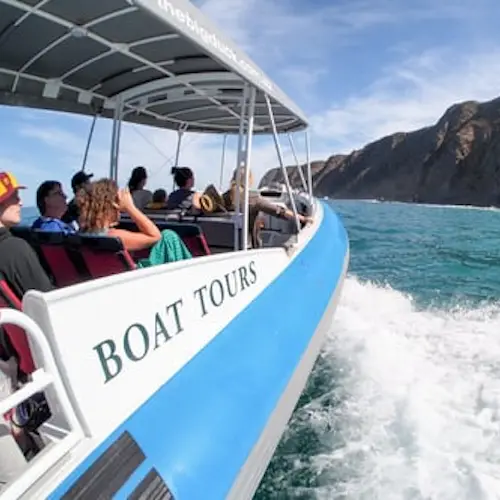 Southern Ocean Adventure from Victor Harbor - Adelaide