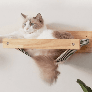 Up to 40% off selected products at Pet Circle